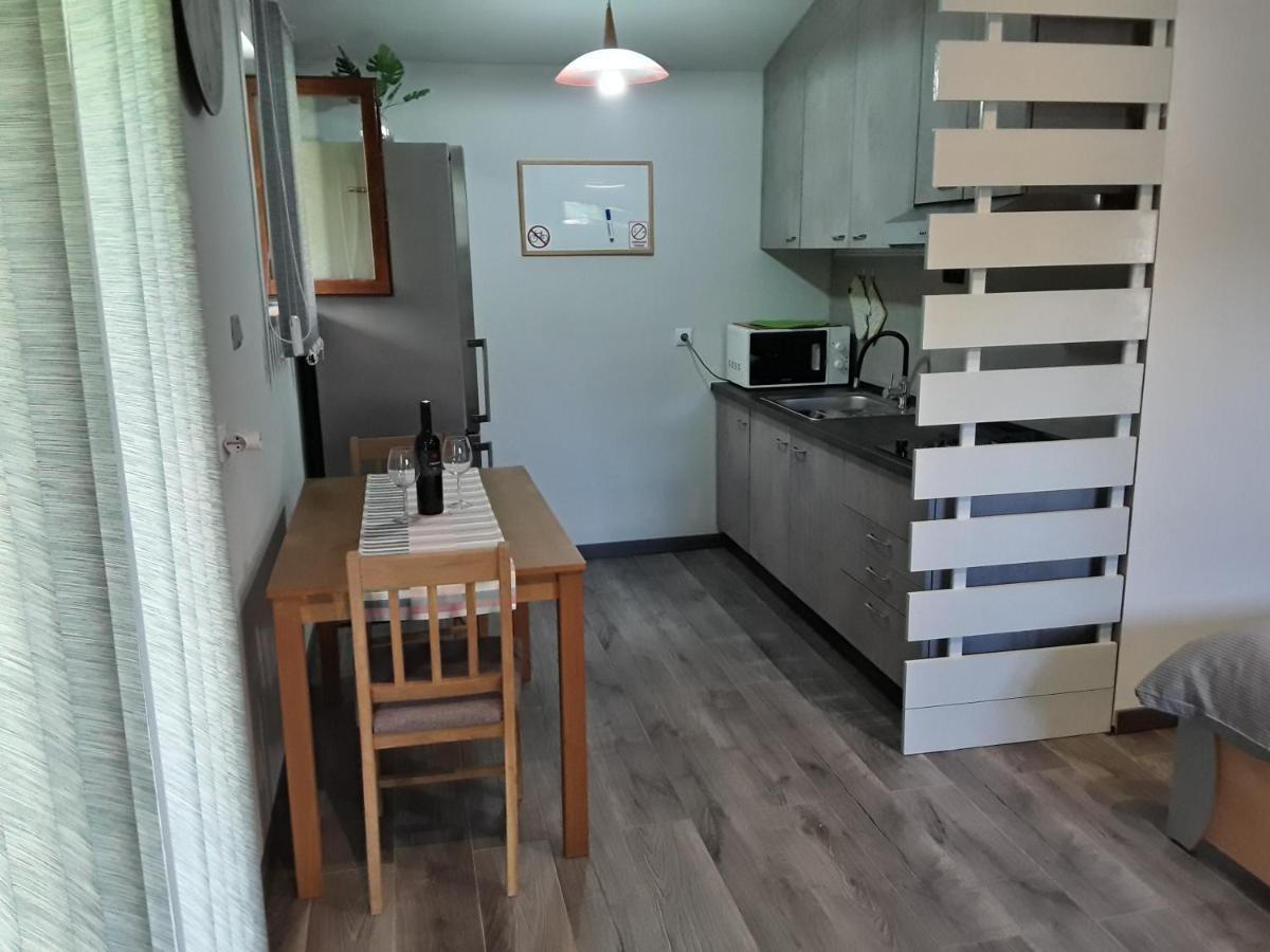 Apartman Studio Erin Rovinj Dış mekan fotoğraf